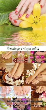 Stock Photo: Female feet at spa salon