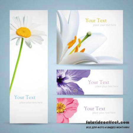 Flowers banner 01 - vector