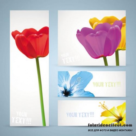 Flowers banner 01 - vector