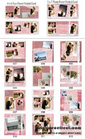 Graphic Authority: Wedding Templates Vol.2 - 2 DVD