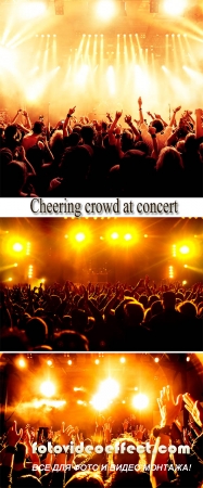 Stock Photo: Cheering crowd at concert