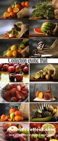 Stock Photo: Collection exotic fruit