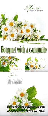 Stock Photo: Bouquet with a camomile