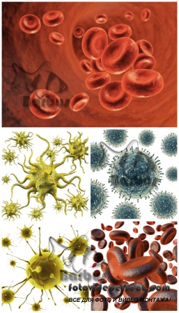 Microbes and erythrocytes /   