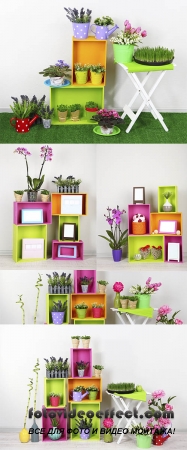  Stock Photo: Beautiful colorful shelves with different home related objects