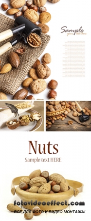 Stock Photo: Mixed nuts