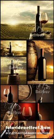 In vino veritas /    - , , 