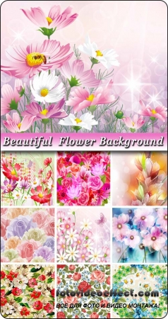      / Beautiful flower backgrounds in vector