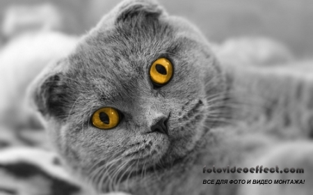Свежий пак классных картинок на рабочий стол. Часть (662)