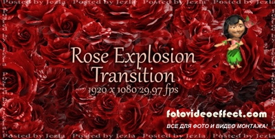 : Rose Explosion Transiton