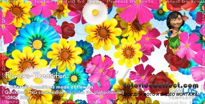 : Flowers Transition Pack