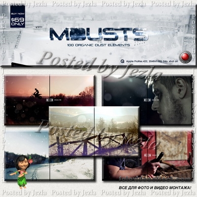 : mDusts (motionVFX)