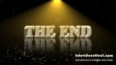    - THE END
