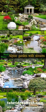     / Alpine garden with stream - Stock photo 