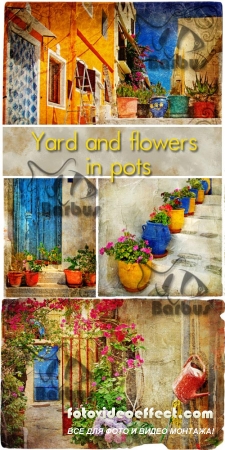 Yard and flowers in pots /      - photo stock