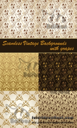 Seamless vintage vector backgrounds with grapes /     