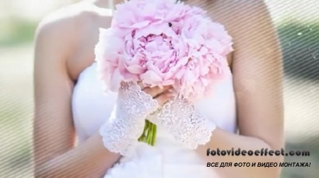 -   After Effects - La Vie en Rose (Videohive)