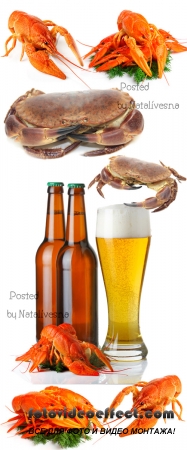 ,    / Beer, crabs to beer - Stock photo