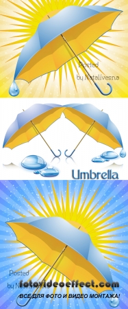   / Umbrella in Vector 