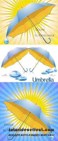   / Umbrella in Vector 