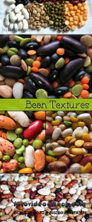   / Textures Bean 