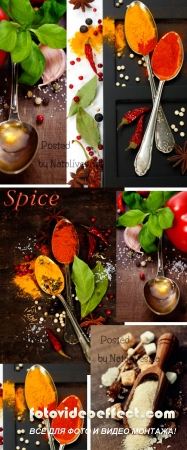       / Culinary backgrounds with greens and spices