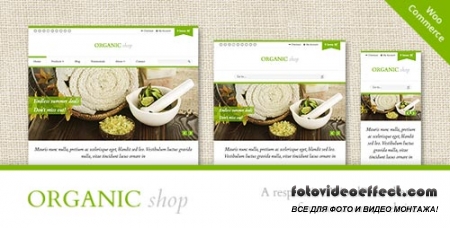 Organic Shop - Responsive WooCommerce Theme