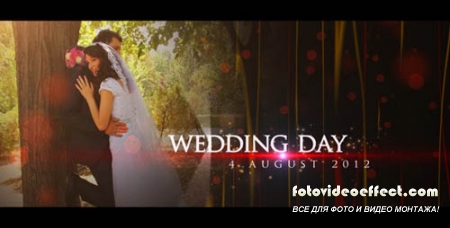 Wedding Teaser - Project for After Effects (Videohive)