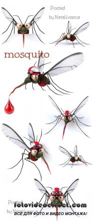 3D     / 3D Mosquito - Stock photo