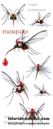 3D     / 3D Mosquito - Stock photo