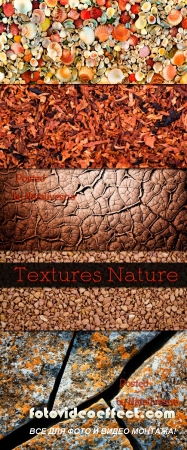   / Textures Nature