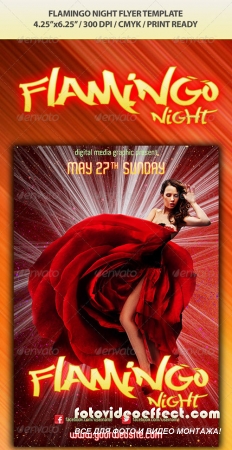 Filamingo Night Flyer Template