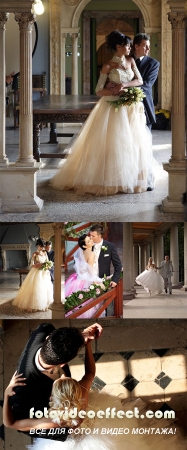 Stock Photo: Newlyweds, stylish wedding