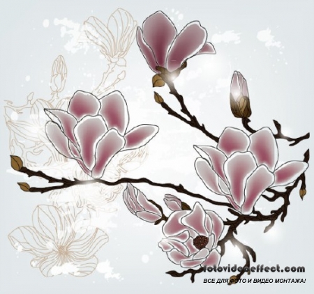 Beautiful flowers 21 - vector