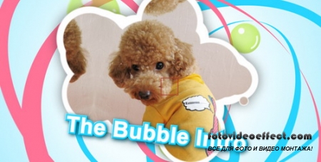 The Bubble Intro - Project for After Effects (Videohive)