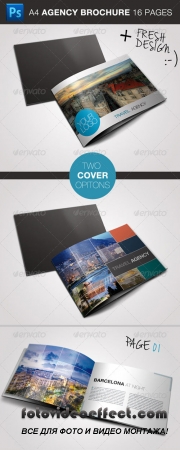 Travel / Business Brochure