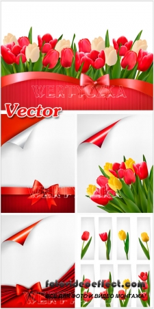     / Vector background with tulips