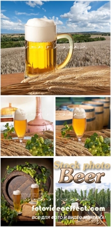 ,   ,  / Beer, a glass of beer, hops - Raster clipart