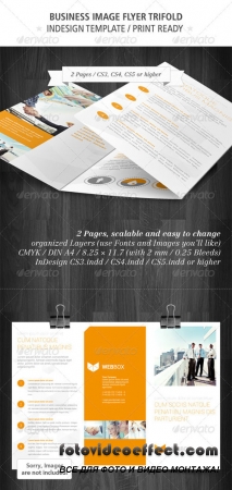 Business Image Flyer Trifold