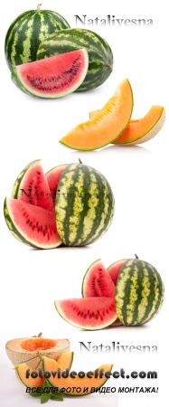        / Melon and water-melon - Stock photo