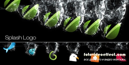 Splash - Project for After Effects (Videohive)