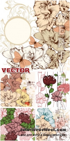      / Backgrounds with flowers and butterflies - Vector clipart