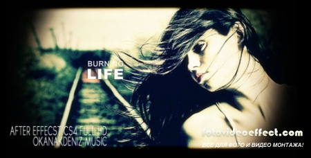 Burning Life - Project for After Effects (Videohive)