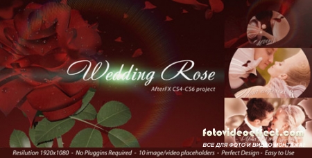 Wedding Rose - Project for After Effects (Videohive)