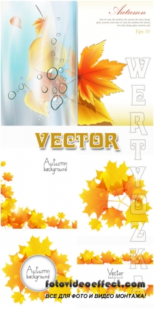 ,   / Autumn, autumn leaves - vector