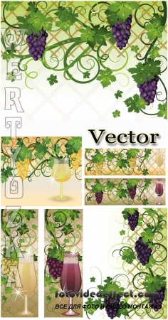 ,    / Grapes, wine glasses with wine - vector