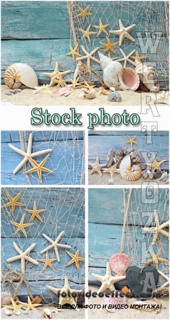   / Marine backgrounds, fishing nets and seashells - Raster clipart