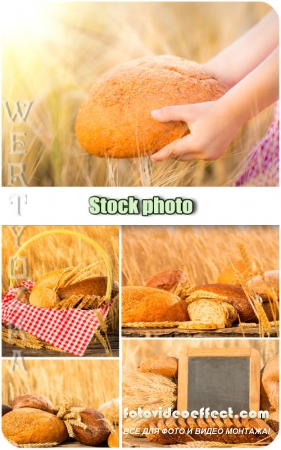 ,  ,  / Bread, wheat field, spikelets - Raster clipart