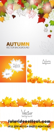 Stock: Autumn background with place for text