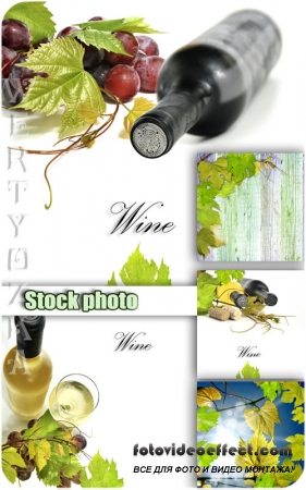 , ,   / Wine, grapes, grape leaves - Raster clipart